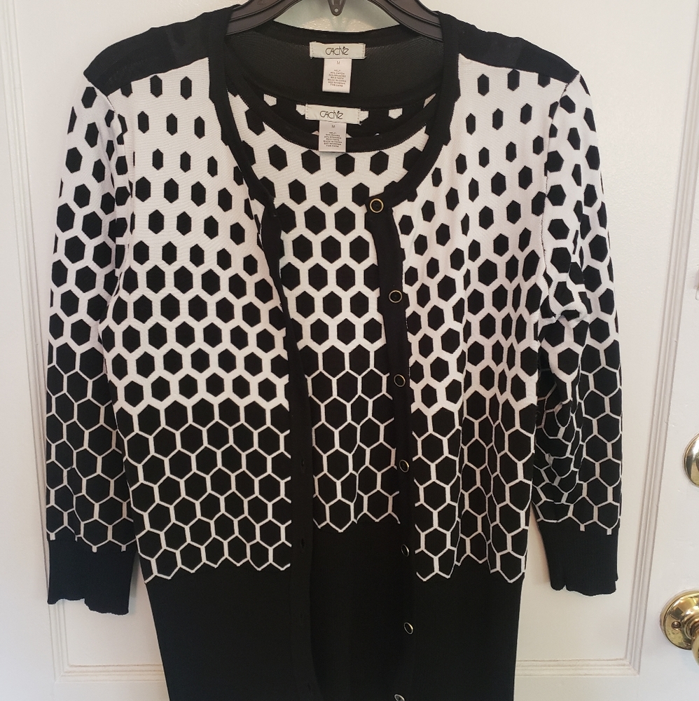 Caché Sweater/Top Set